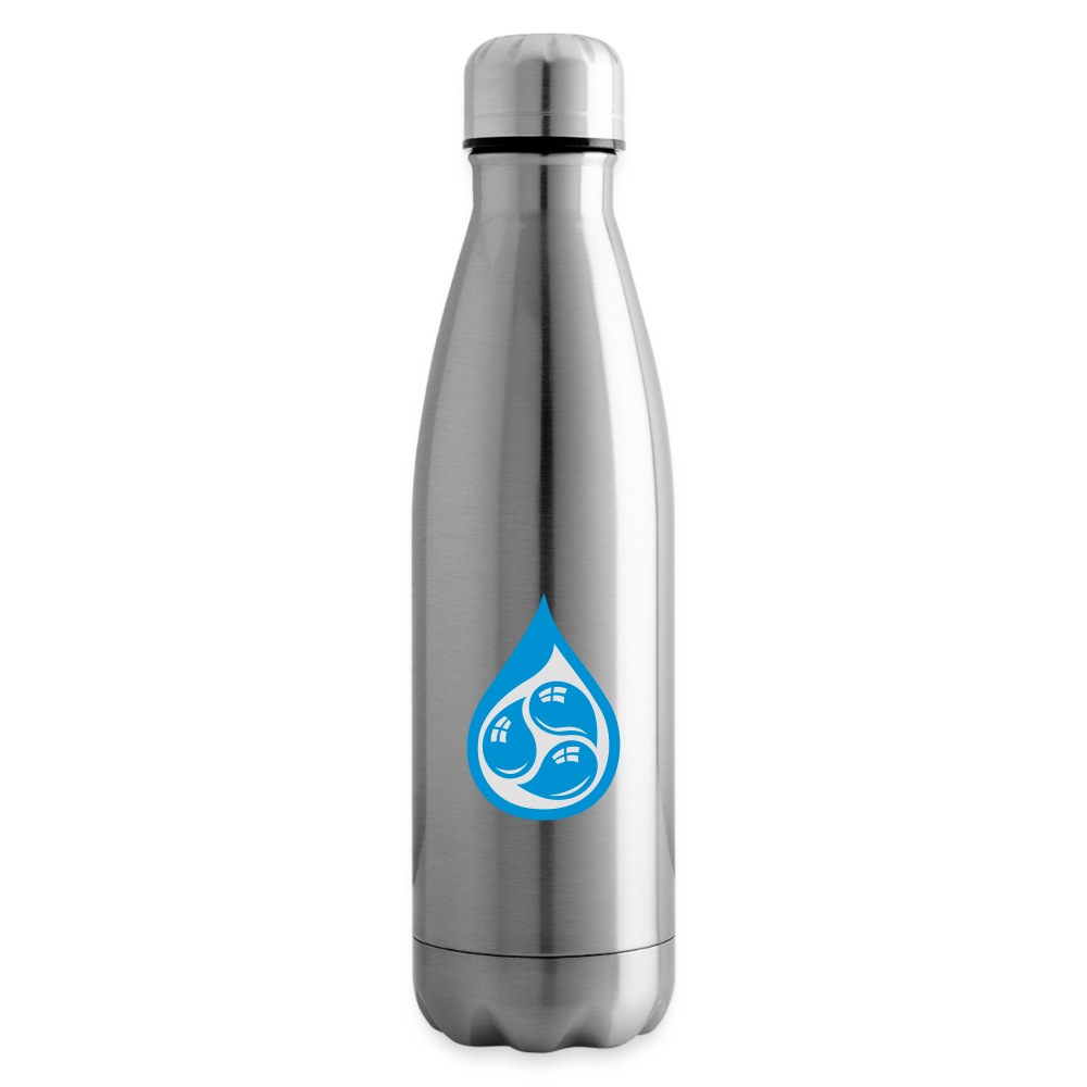 Insulated Water Bottle - silver