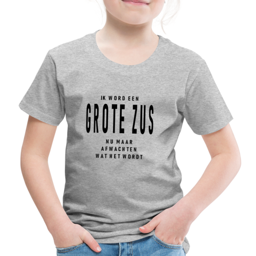 Kids' Premium T-Shirt - heather grey